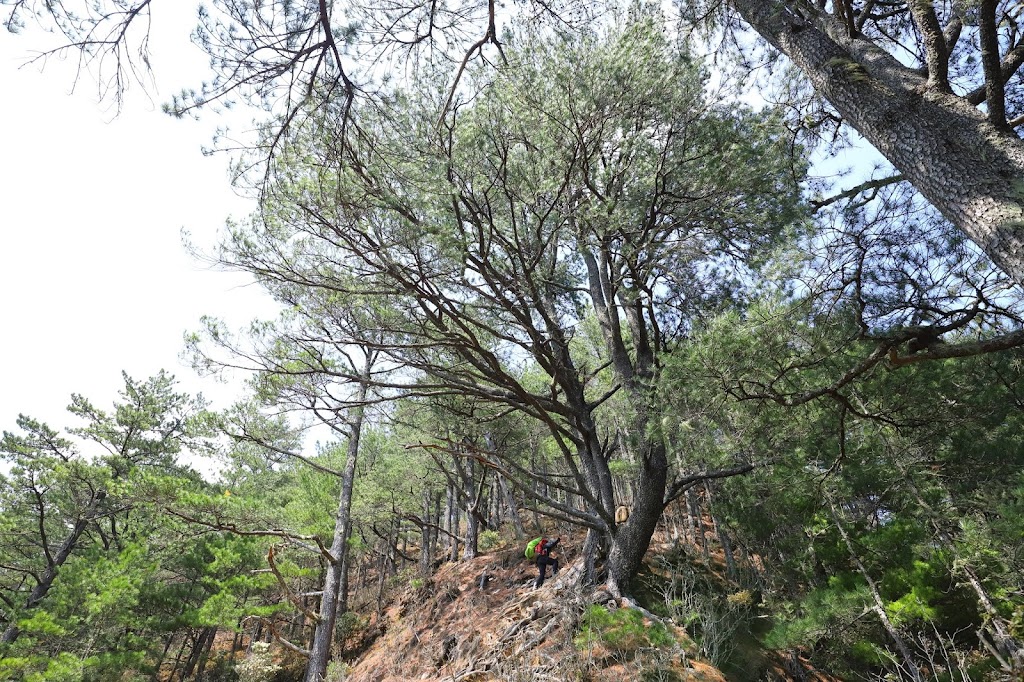 攀登八通關山