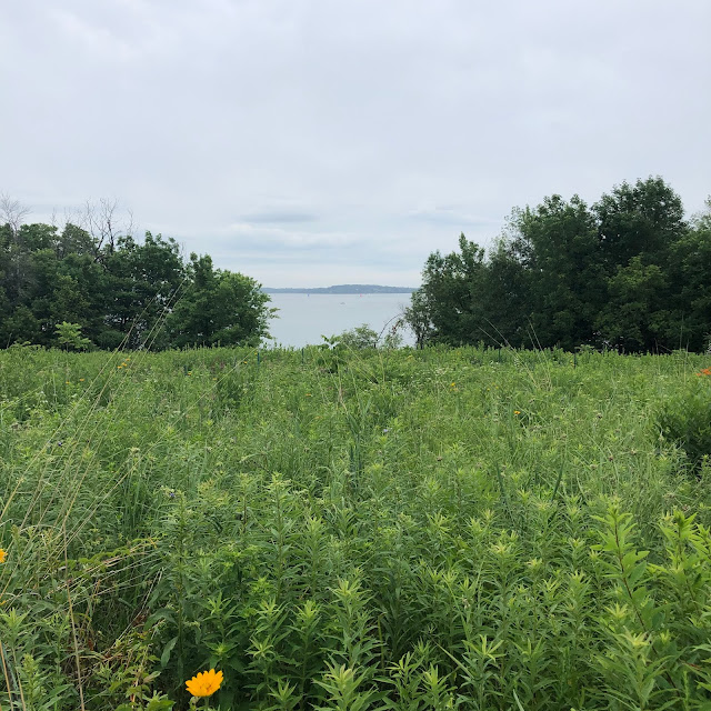 A spectacular view of Lake Mendota from the prairie at Lakeshore Nature Preserve in Madison, Wisconsin.