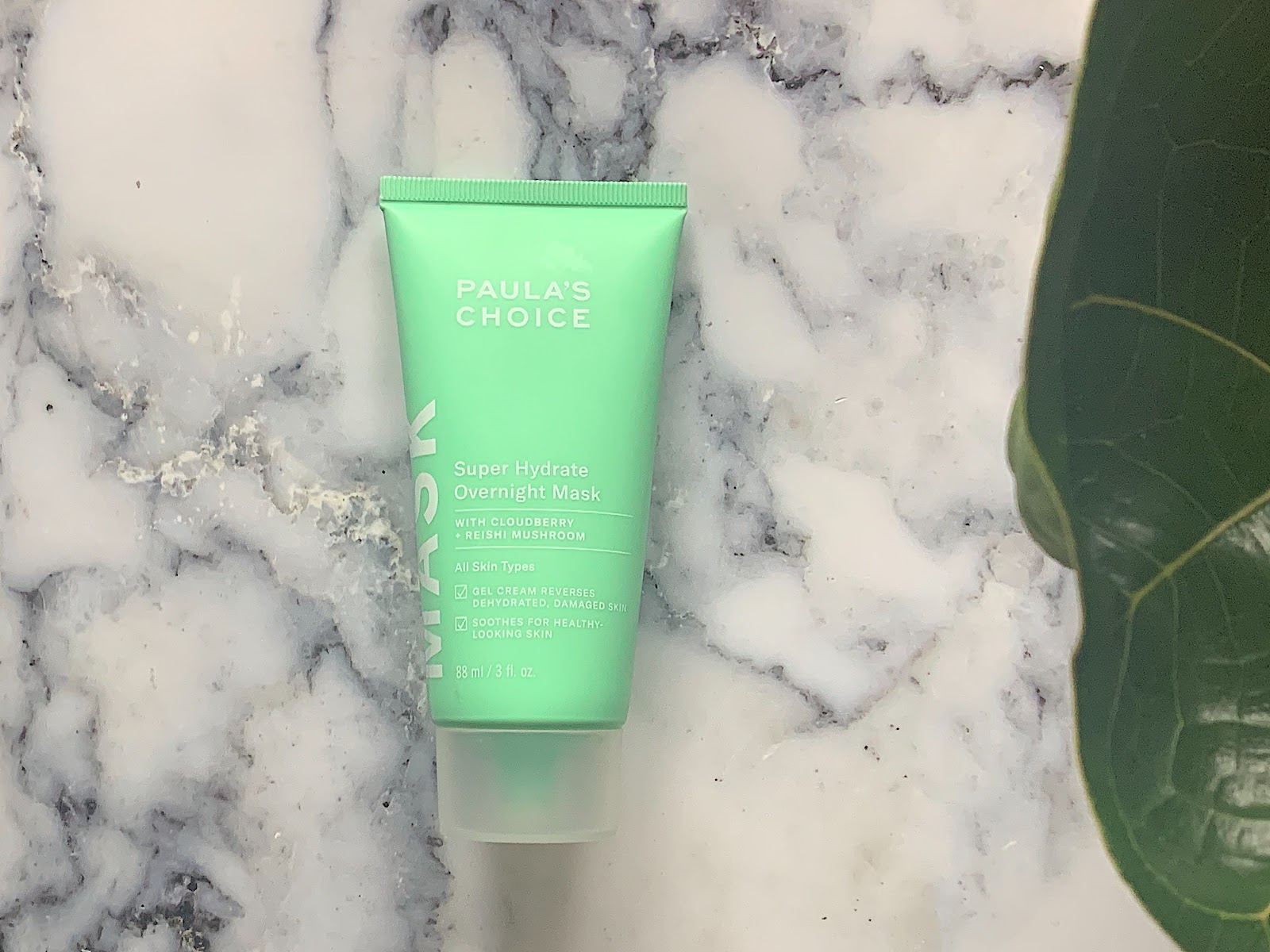 REVIEW Paula’s Choice Super Hydrate Overnight Mask Obsessed By Beauty