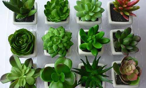 Cách đơn giản giúp 12 con giáp phát tài phát lộc 2 cach don gian giup 12 con giap phat tai phat loc