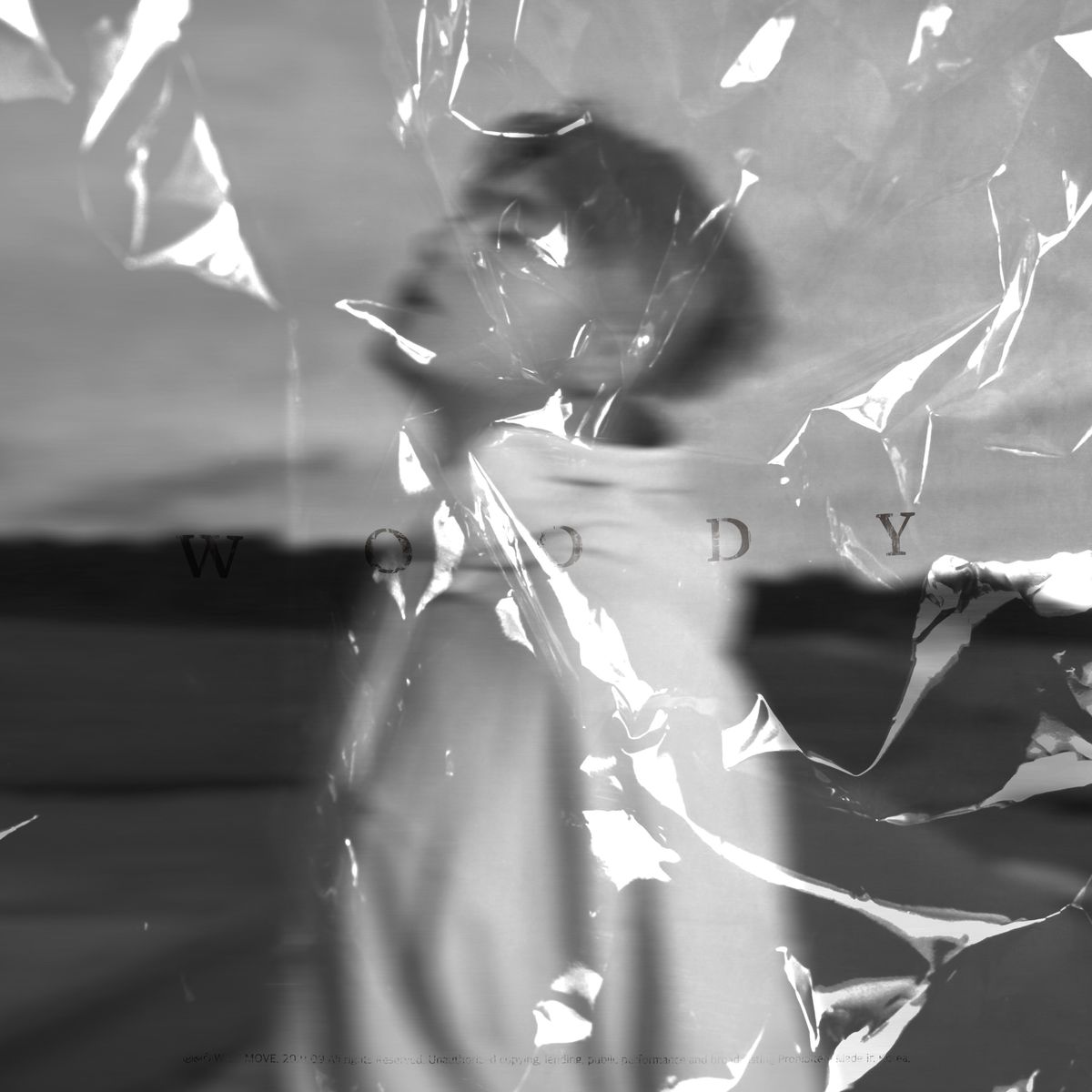 Woody – I hope you like it – Single