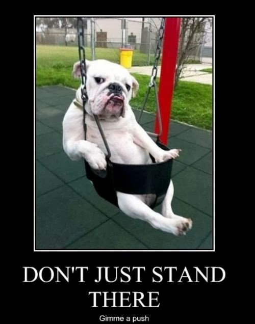 Most Famous Dogs Cute and Funny Dog Posters