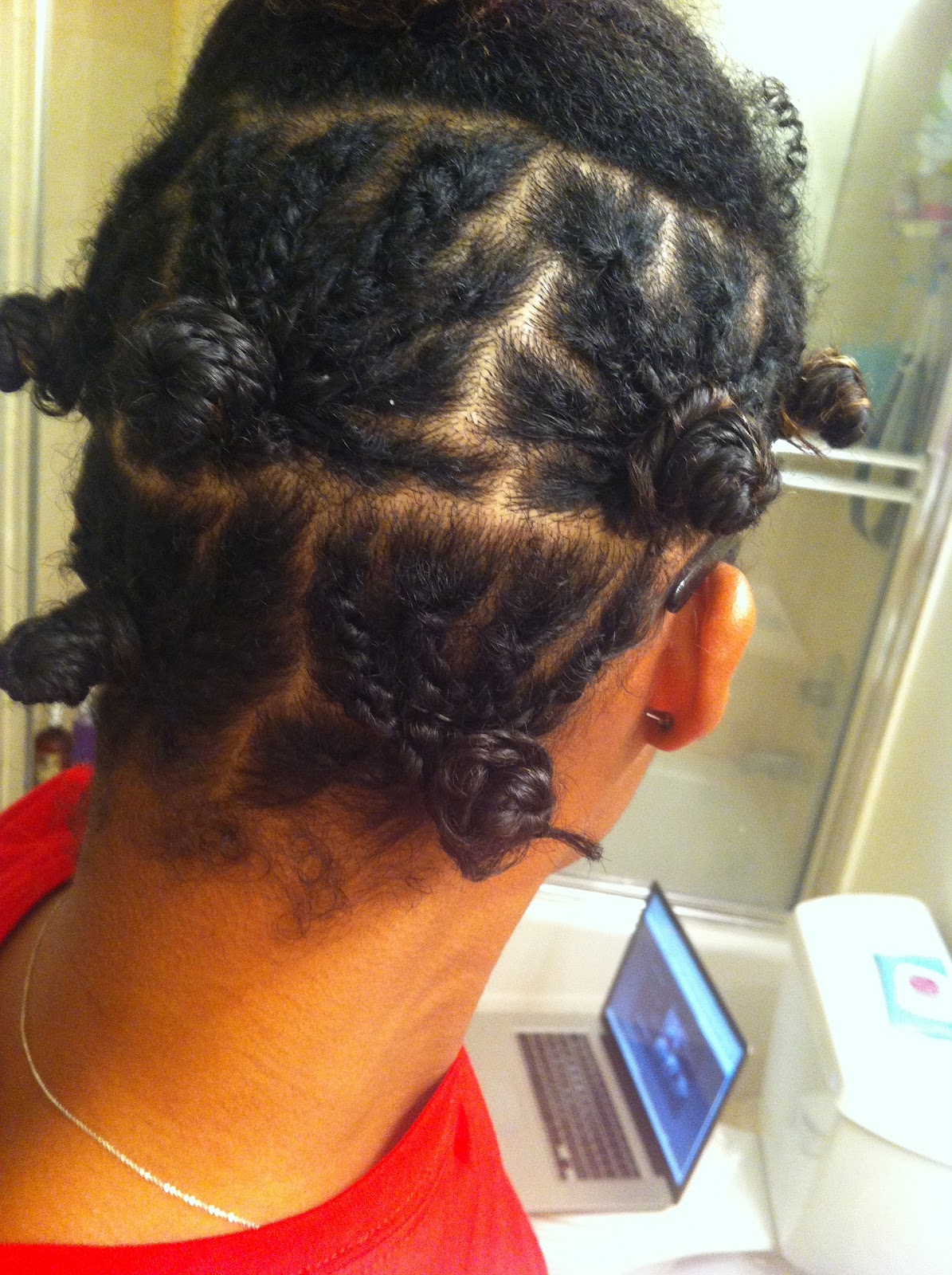 LoveBrownSugar Drop The Dryer Mini Twists Tutorial