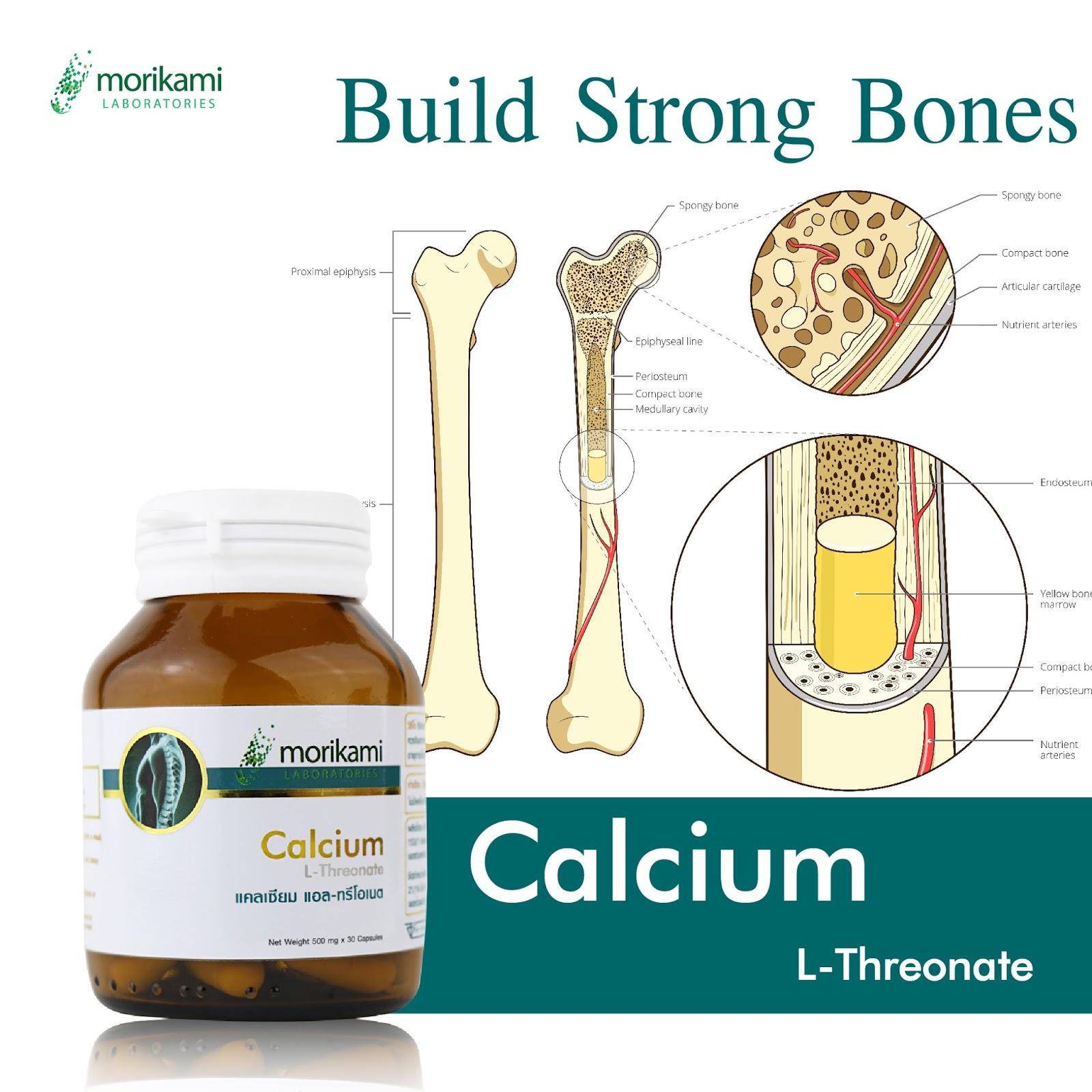 CHOOSING THE BEST CALCIUM SUPPLEMENT DURING PREGNANCY