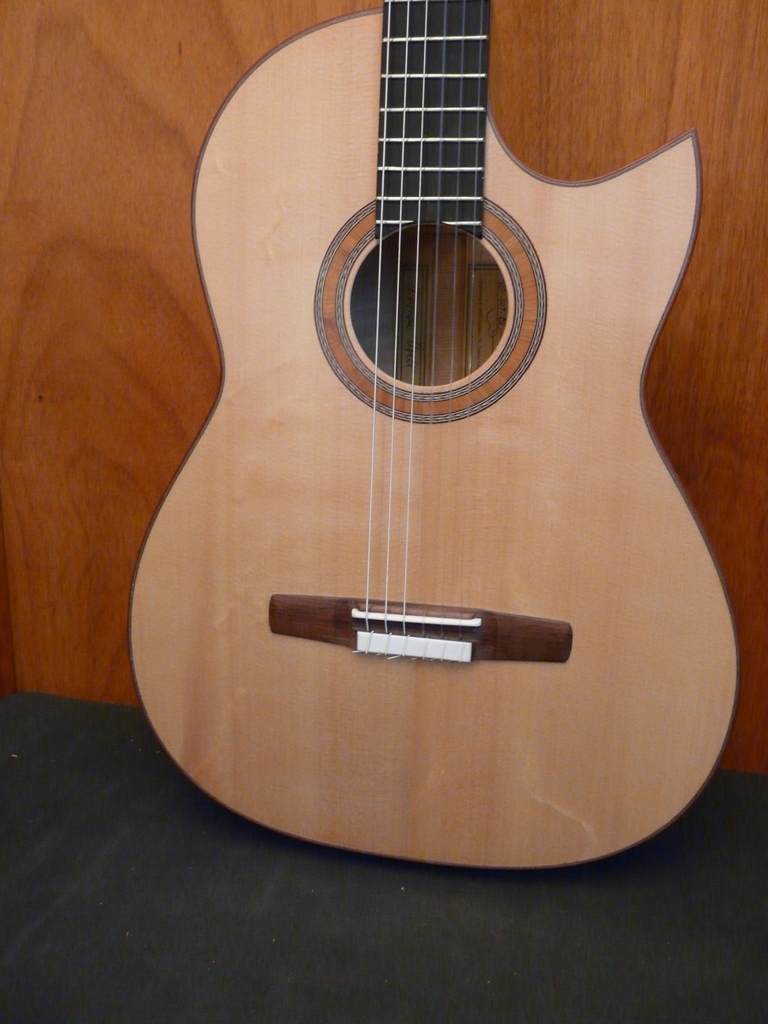 gitarrenschrank: Aus dem Gitarrenschrank: 2021 / Sondermodelle