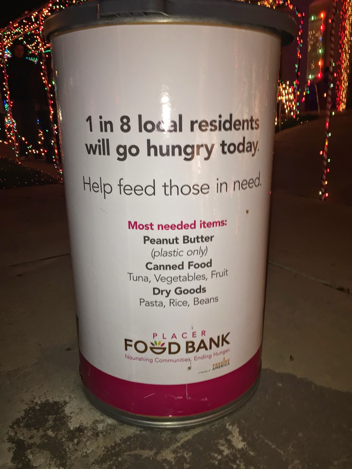 Love Where You Live Christmas Lights of Twinwood Loop Roseville