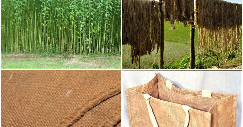 Jute Industry
