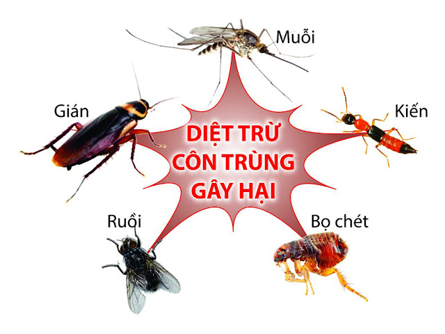 Dịch vụ diệt côn trùng tại Đà Nẵng Diet-con-trung-tai-da-nang-2