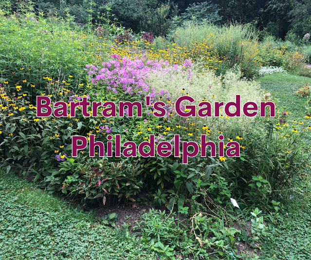 Winding Paths of Early Botany at Philadelphia's Bartram's Garden and a Trip Through History in Philadelphia