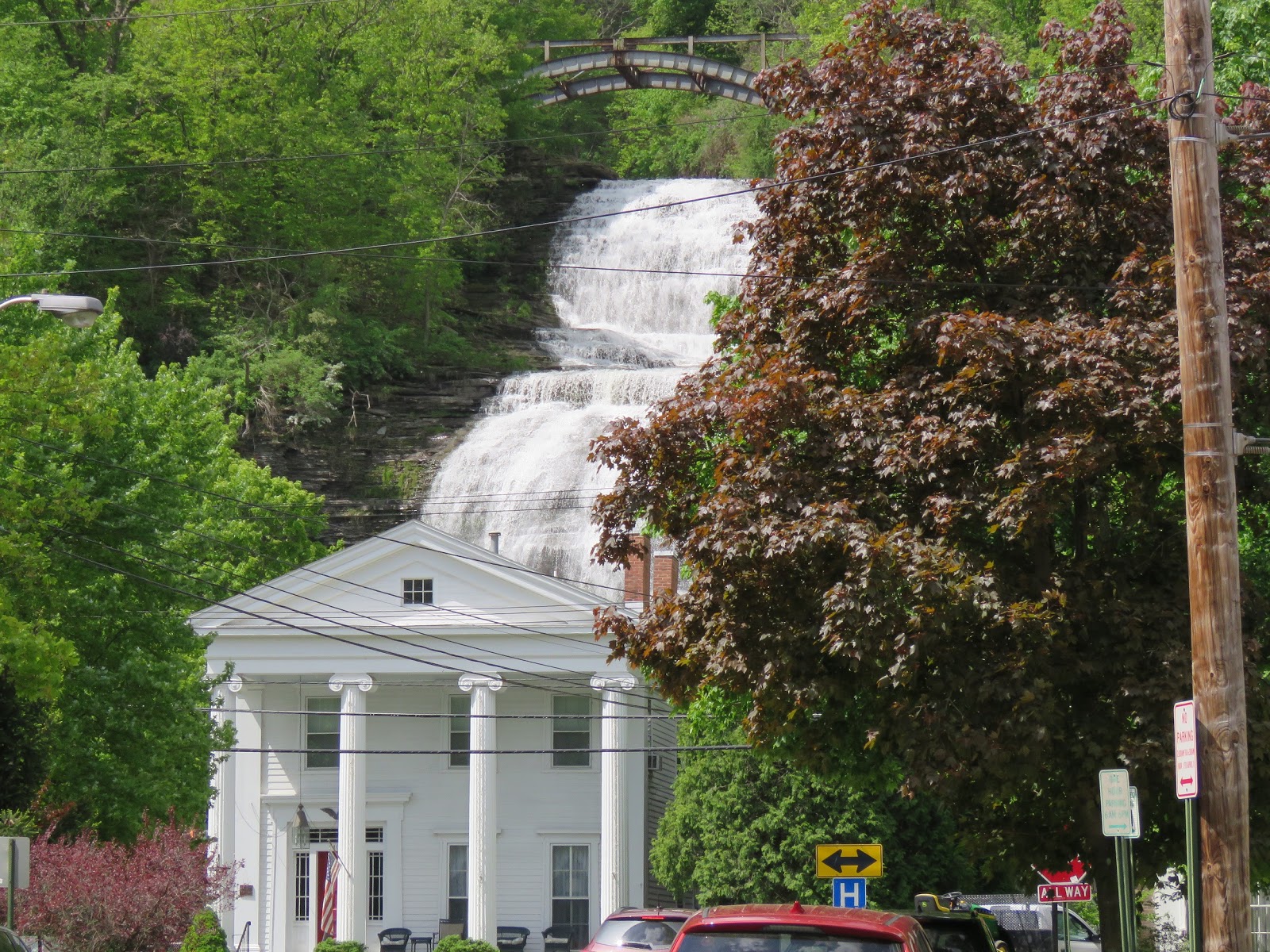 Viewing nature with Eileen 05/01/2019 06/01/2019