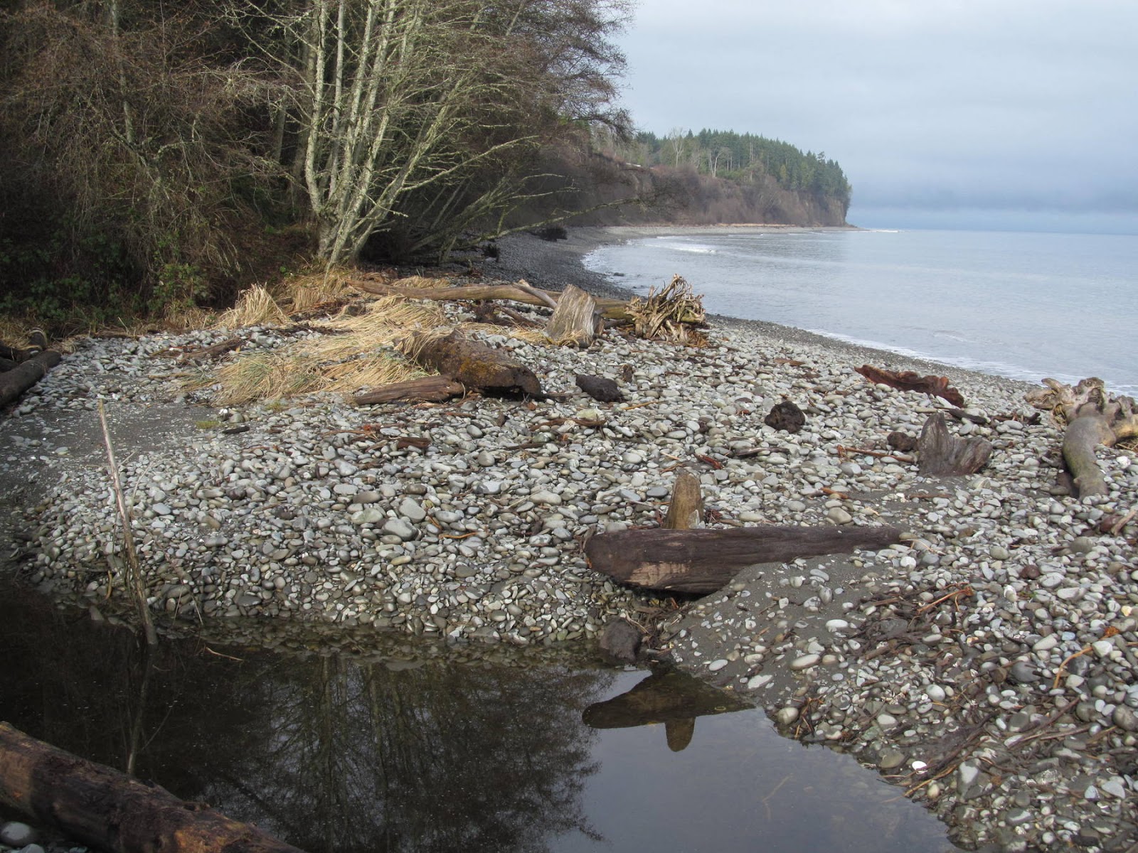 Gravel Beach: Dry Creek