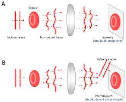 Secret Key Establishment Using Temporally and Spatially Correlated Wireless Channel Coefficients