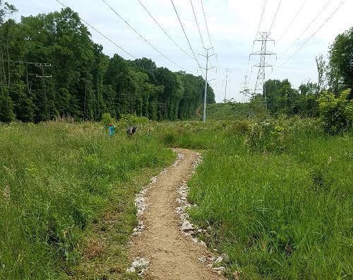 wakefield bike trail