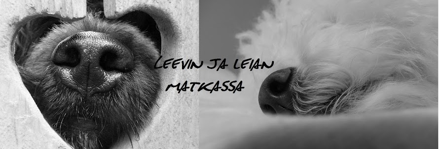 LEEVI ja LEIA