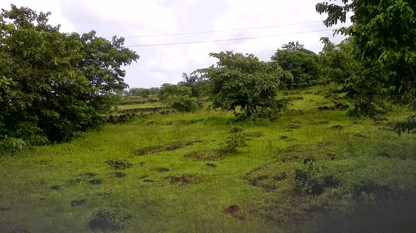 Agriculture and NA Land in Maharashtra!!!!! Agriculture Land at Tala