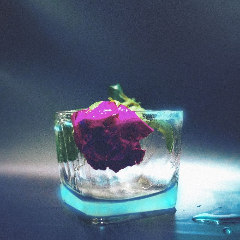 ZAYSTIN – 1월이 오면 – Single