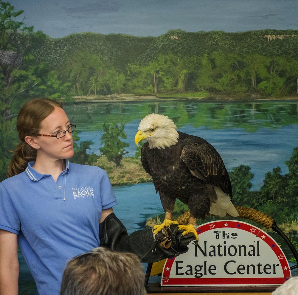Merikay's Dream National Eagle Center, Wabasha Minnesota