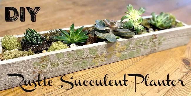Make a Stenciled Rustic Succulent Planter