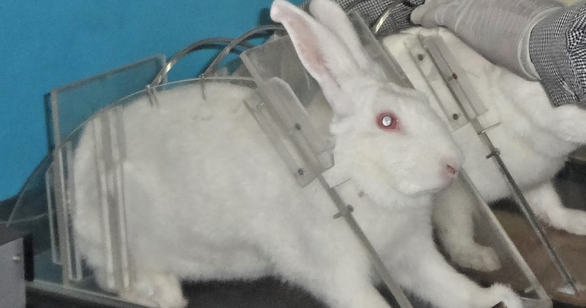 SOP FOR HANDLING AND RESTRAINING OF LABORATORY ANIMALS STANDARD