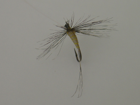 Moscas Para Pescar A Principio De Temporada: Rhodani En Parachute