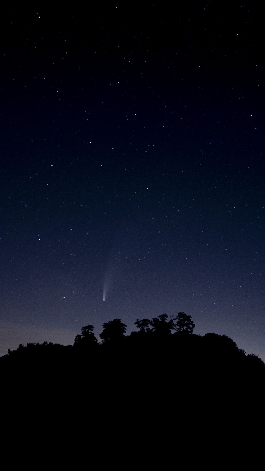 Wallpaper Night Starry Sky, Trees, Stars, Comet