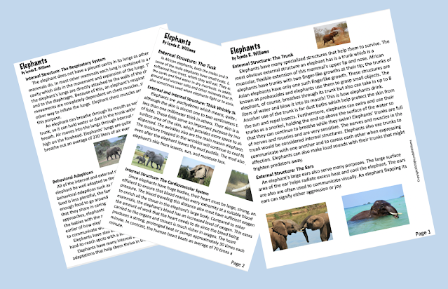 Informational Text Articles Fourth grade