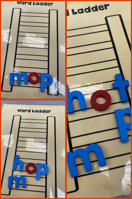 Building words by sound is a crucial step in learning to read and spell. Word Ladders help students master this skill.