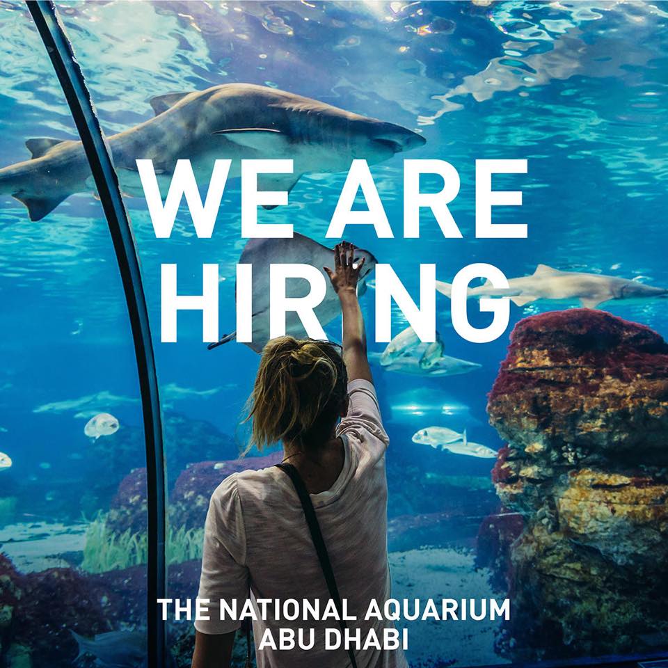 Zoo Jobs Aquarium Staff