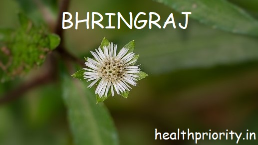 7 Amazing Hair, Skin, Eye and Health Benefits Of Bhringraj[Eclipta Alba] Plant