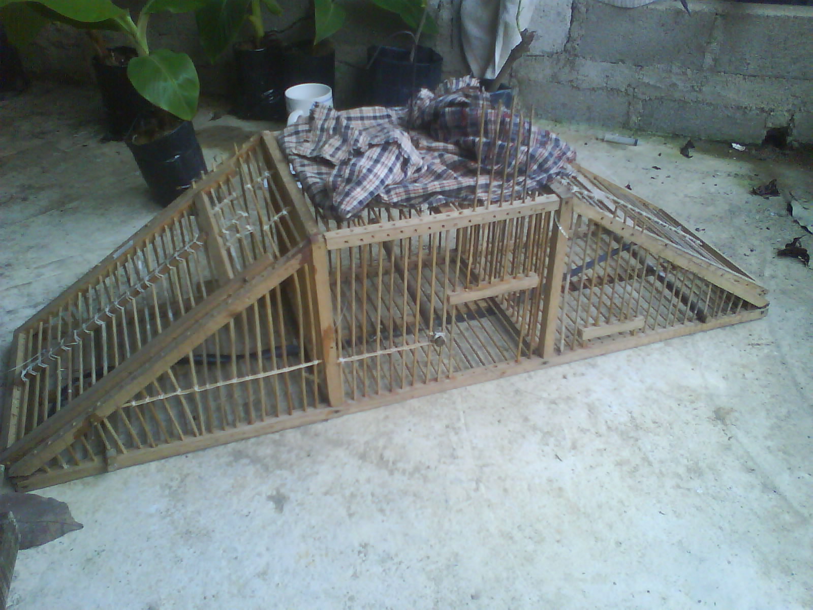 infotani-agro