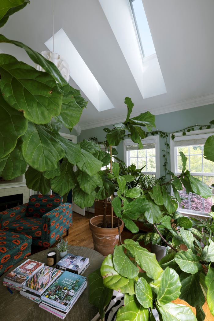 Our New VELUX No Leak Solar Powered "Fresh Air" Skylights In The Sunroom-designaddictmom