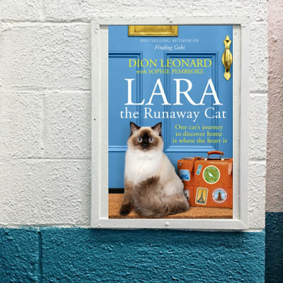 lara-runaway-cat