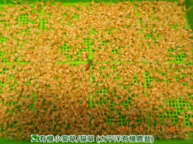 �p��,�߯�ش�,�߯�شӤ�k,�߯�,�߯�O����,�߯�diy,�߯�p����,�߯����,�^�K���@�k,�ؿ߯�