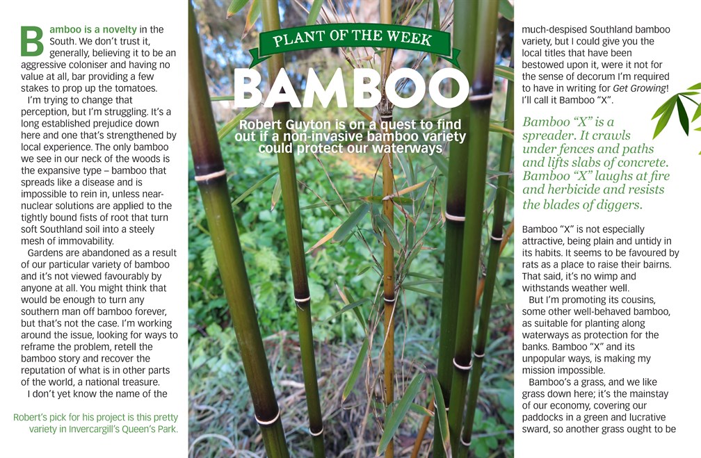 robertguyton Get growing bamboo