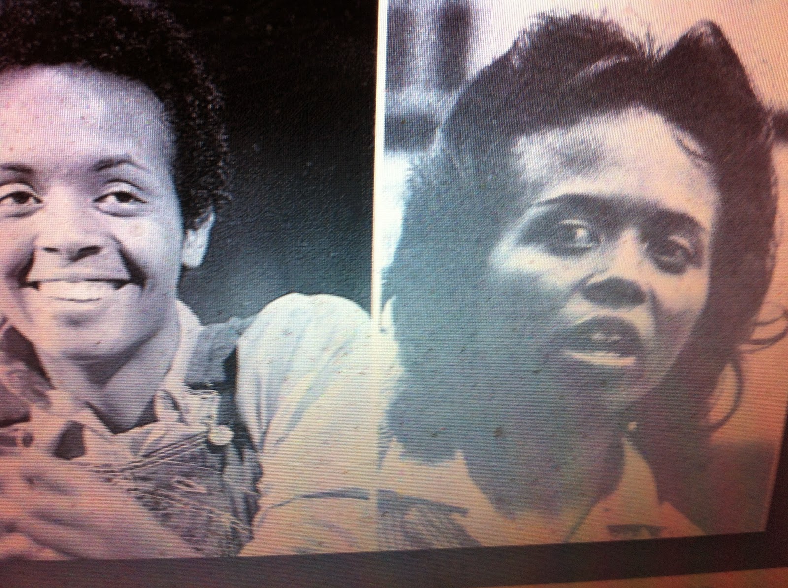 THE BLACK SOCIAL HISTORY BLACK SOCIAL HISTORY AMERICAN 
