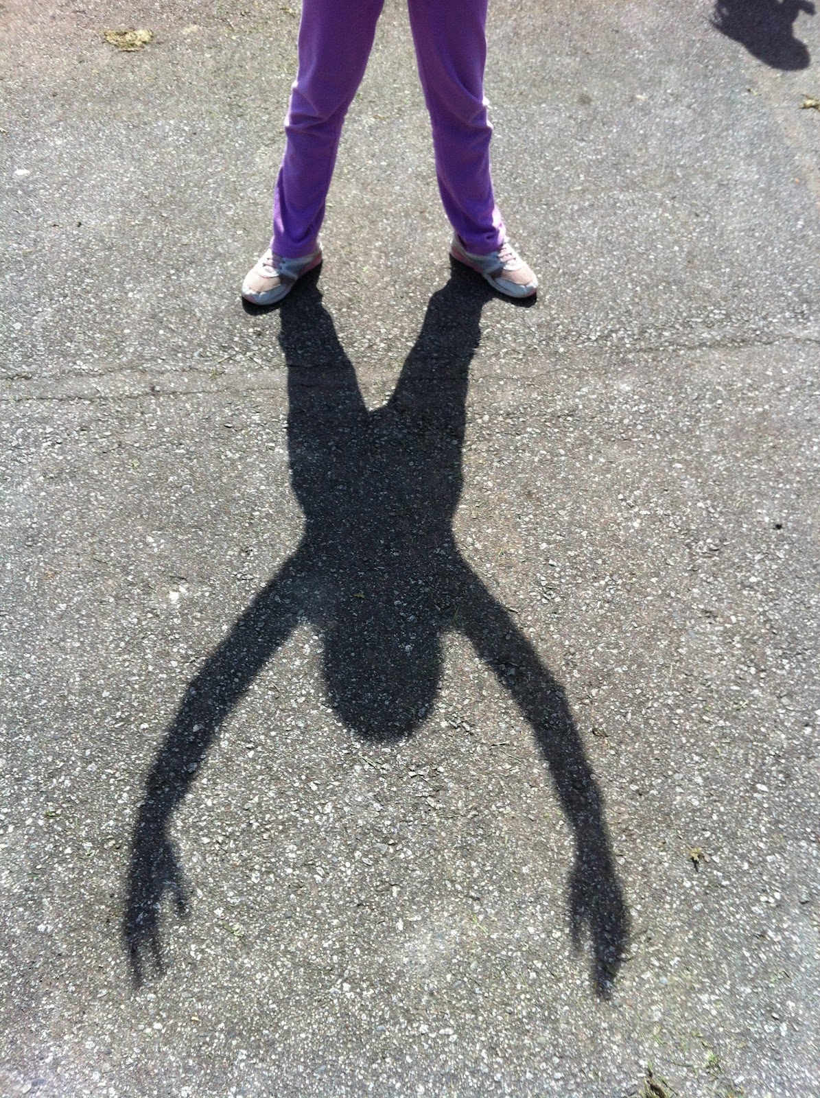 Investigating Learning In A Primary Classroom 2011 2012 Learning