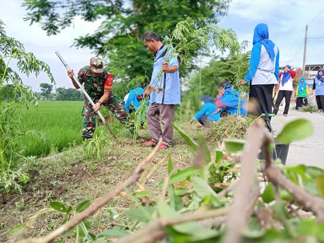 Percantik jalan Desa dan Antisipasi Hama, Babinsa Cawas bersama Pemdes Tirtomarto Tanam Refugia