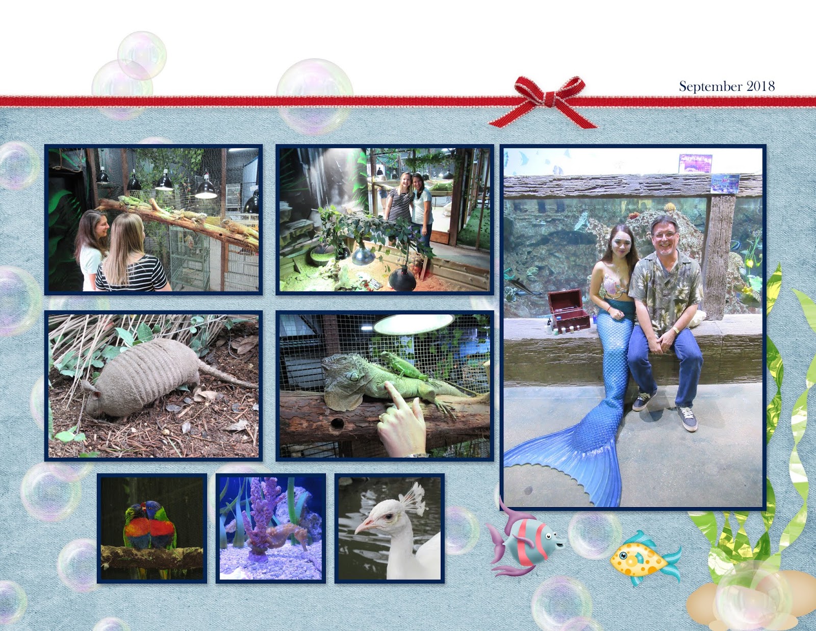 MyDiane Designs San Antonio Aquarium 2018