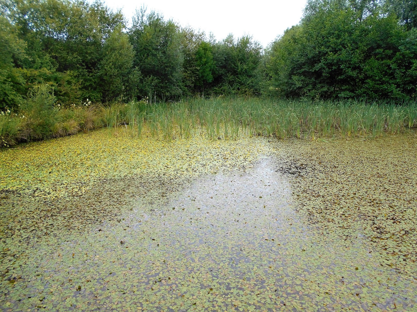 Tony's Blog Lang Farm