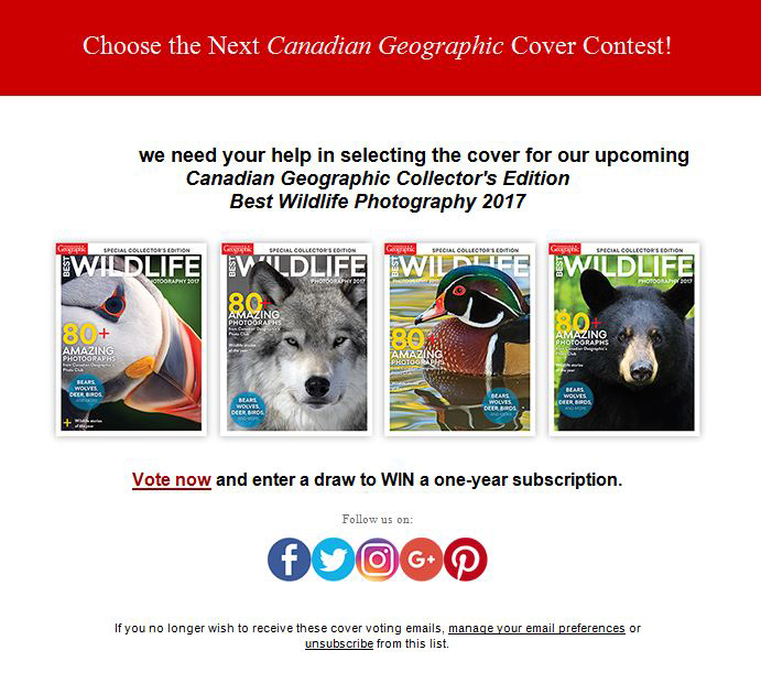 MLorenz Photography: Choose The Next "Best Wildlife Photography" Cover!