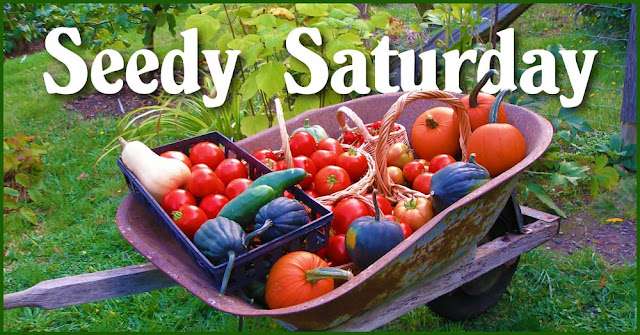 Seedy Saturday: Sat Feb 11 | MayneNews