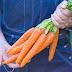 5 Awesome Health Benefits Of Eating Carrots