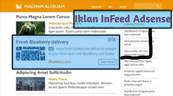 Cara Memasang Iklan In-Feed Google AdSense pada Blogspot