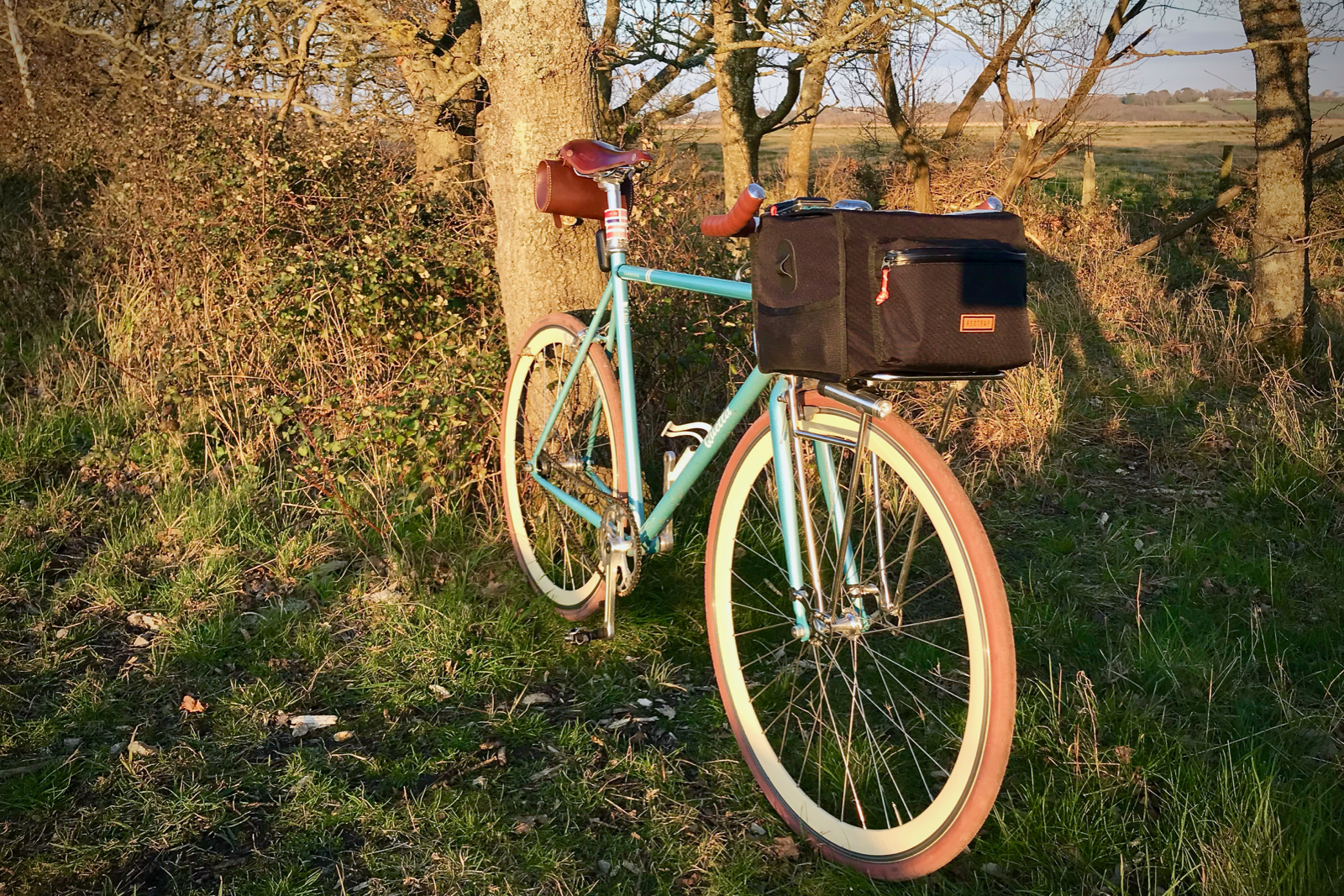 quella single speed