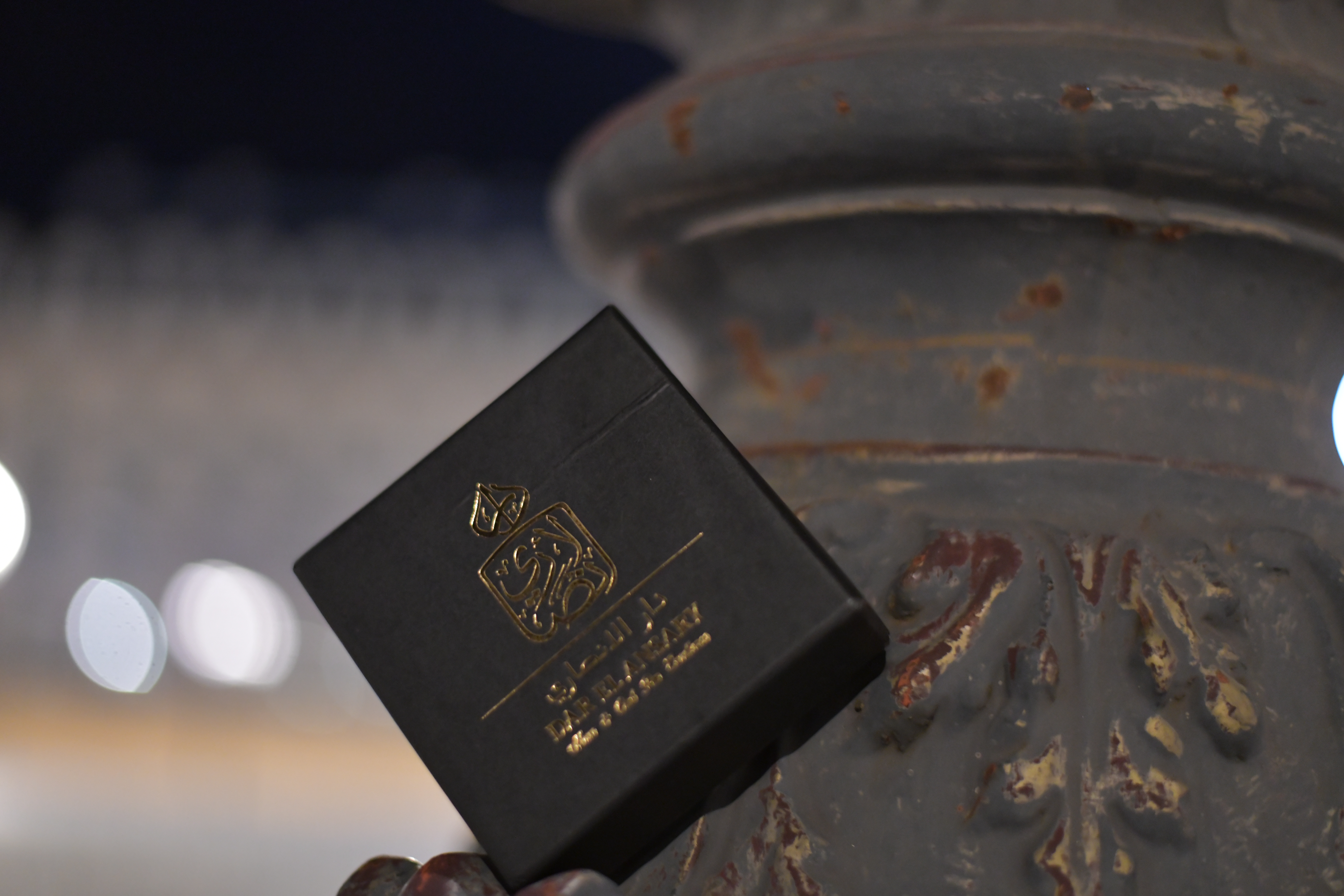 L’attribut alt de cette image est vide, son nom de fichier est DSC_3068.JPG.