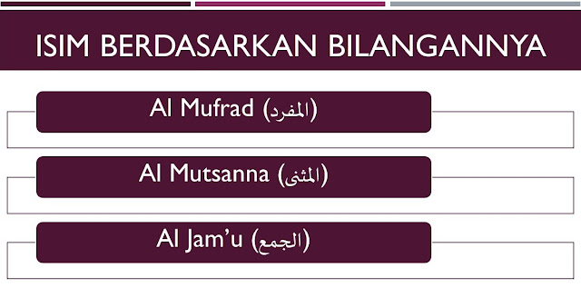 pembagian isim berdasarkan bilangannya