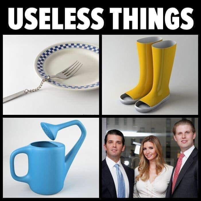 Useless сравнительная. Самый бесполезный предмет. Useless things to buy. Useless thing. The most useless things meme.