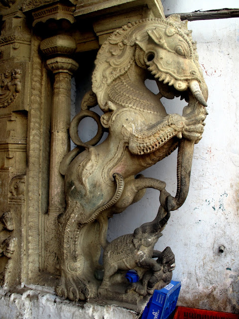 Tamil Culture and Tradition - OUR DREAMS : What does &lsquo;Yali&rsquo;, found in