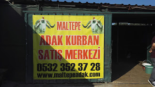 maltepe adak