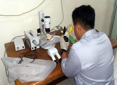 Servis Mikroskop